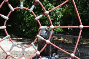 carrick hill 2014 (16)